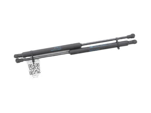 tailgate-lift-support-renault-twingo-ii-cn0_-2007-38947304 main image