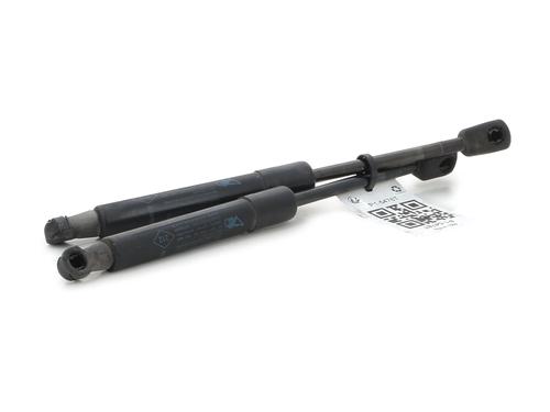 Hood lift support RENAULT SCÉNIC III (JZ0/1_) 1.5 dCi | BP29047708C139 