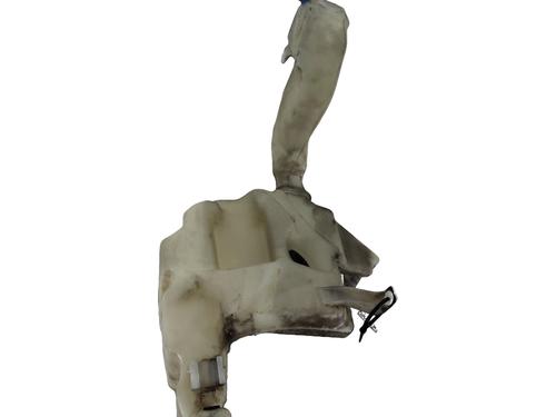 Windscreen washer tank VW PASSAT B5.5 Variant (3B6) 1.9 TDI | BP29762053C113 