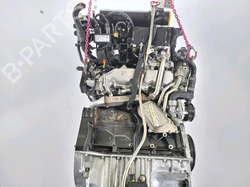 Engine MERCEDES-BENZ A-CLASS (W169) A 180 CDI (169.007, 169.307) | BP21841110M1 