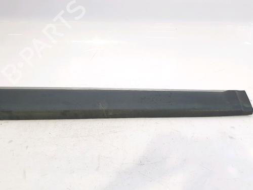 Used Door moulding trim RENAULT SCÉNIC III (JZ0/1_) 1.6 dCi (JZ00, JZ12) (130 hp) 29495298