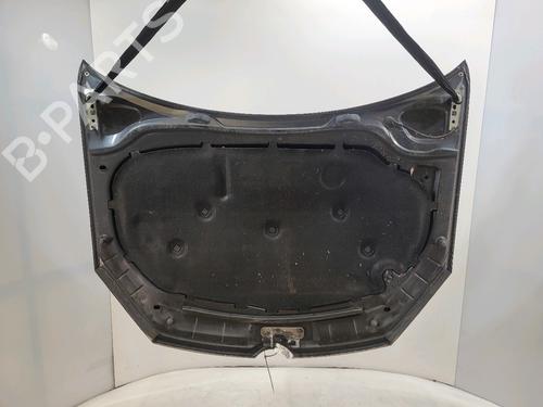 Hood VW GOLF VI (5K1) 1.6 TDI | BP29741483C1 