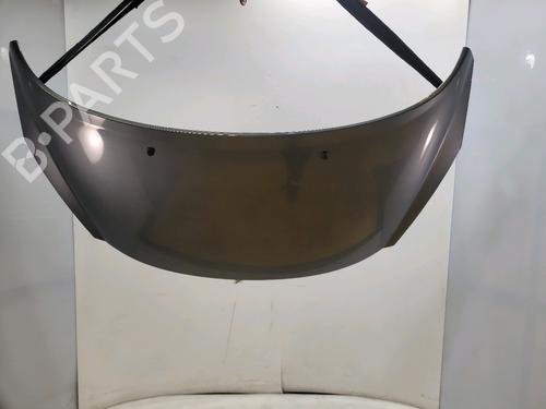 Used Hood Hood PEUGEOT 207 (WA_, WC_) 1.6 HDi (92 hp) 34269913 34269913