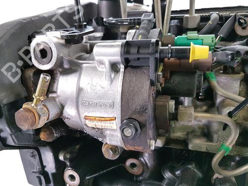 Engine RENAULT CLIO II (BB_, CB_)  | BP31913256M1 