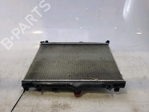Køler DS DS 3 / DS 3 CROSSBACK (UR_, UC_, UJ_) 1.5 BlueHDi 130 (UCYHZR) | BP17695257M31 