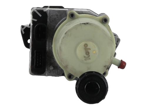 Steering pump DACIA DUSTER (HS_) 1.5 dCi (HSMC) | BP29197971M99 