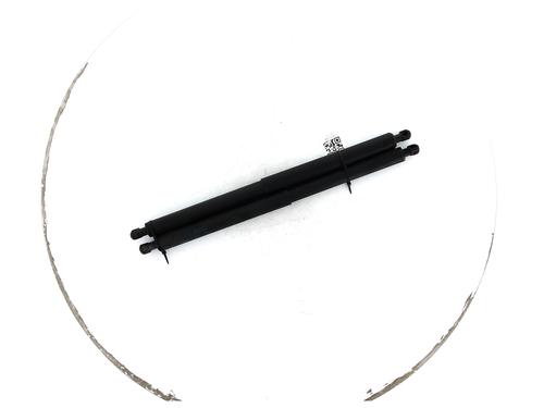 Used Tailgate lift support BMW X1 (F48) xDrive 20 d (190 hp) 27917326