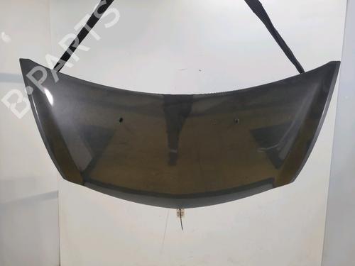 hood-renault-clio-iii-br01-cr01-2005-2006-2007-2008-2009-2010-2011-2012-2013-2014-32770488 main image