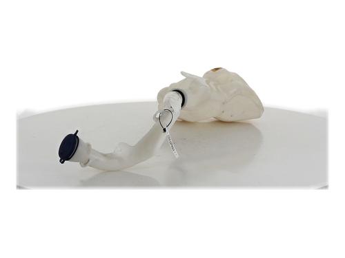 Sprinklertank CITROËN C3 II (SC_) 1.2 VTi 82 | BP32007164C113