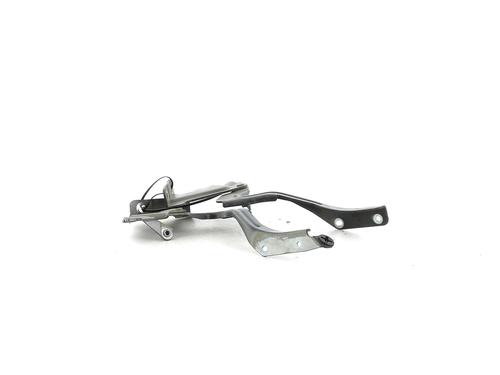 Hinge/Door check strap NISSAN NOTE (E12) 1.5 dCi | BP27919565C146
