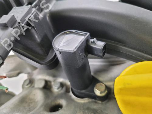 Engine RENAULT KANGOO (KC0/1_) 1.6 16V 4x4 (KC0P, KC0S, KC0L) | BP29849481M1