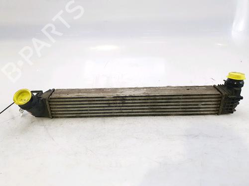Used Intercooler RENAULT SCÉNIC III (JZ0/1_) 1.5 dCi (110 hp) 29047835