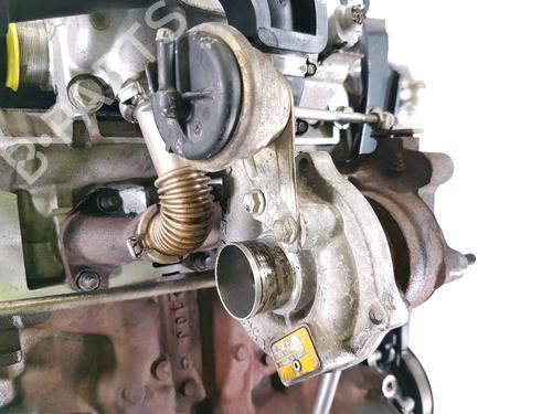 Engine RENAULT CLIO II (BB_, CB_)  | BP25301183M1 