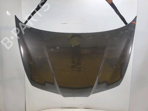 Used Hood SEAT IBIZA III (6L1) 1.9 TDI (100 hp) 25590590