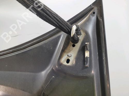 Hood FORD S-MAX (WA6) 1.8 TDCi | BP24120316C1