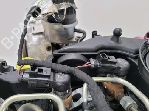 Engine SEAT IBIZA IV (6J5, 6P1) 1.6 TDI | BP29849013M1