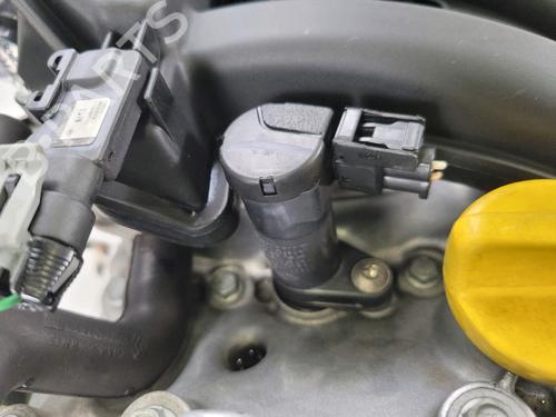 Motor RENAULT CLIO II (BB_, CB_)  | BP29579285M1 