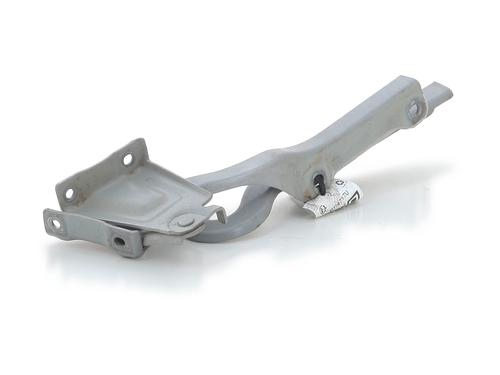 Hinge/Door check strap SUZUKI CELERIO (LF) 1.0 (AVK310) | BP29874245C146