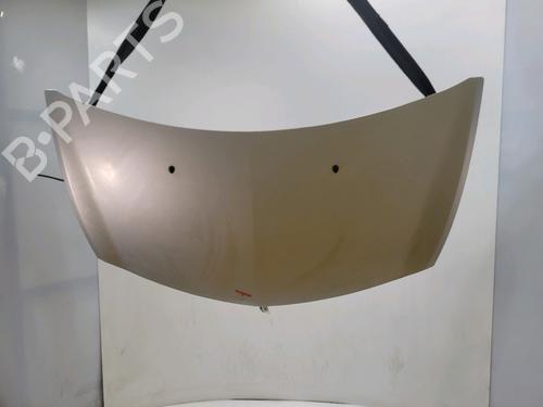 hood-renault-clio-iii-grandtour-kr01_-2007-39524133 main image