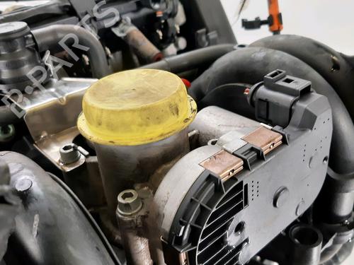 Engine SEAT IBIZA II (6K1) 1.4 i | BP31866380M1 