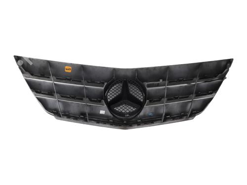 Grille MERCEDES-BENZ B-CLASS Sports Tourer (W245) B 180 CDI (245.207) | BP26039495C40