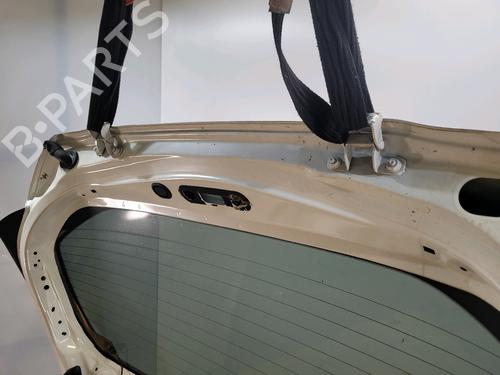 Tailgate NISSAN JUKE (F15) 1.2 DIG-T | BP30379925C6 