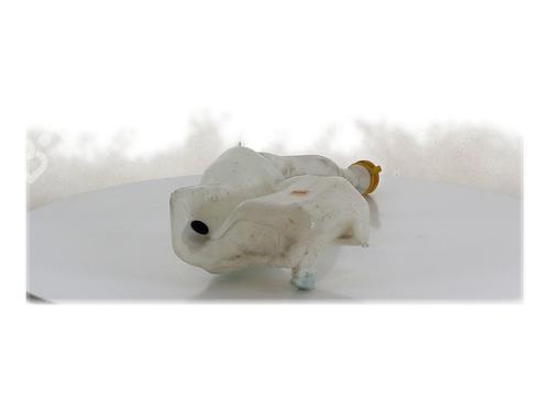 Sprinklertank RENAULT MASTER III Van (FV) 2.3 dCi 110 FWD (FV0R, FV0W, FV1A) (110 hp) 30093844