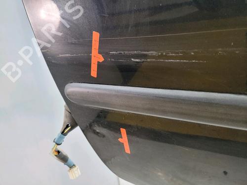 Left front door PEUGEOT 107 (PM_, PN_) 1.4 HDi | BP25983444C2