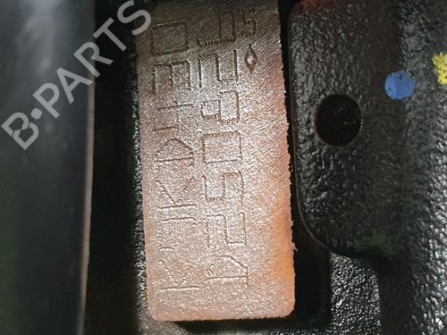 Engine NISSAN QASHQAI I (J10, NJ10) 1.5 dCi | BP29470954M1 