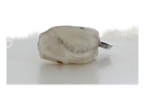 Used Windscreen washer tank CITROËN C3 I (FC_, FN_) [2002-2013]  28534017