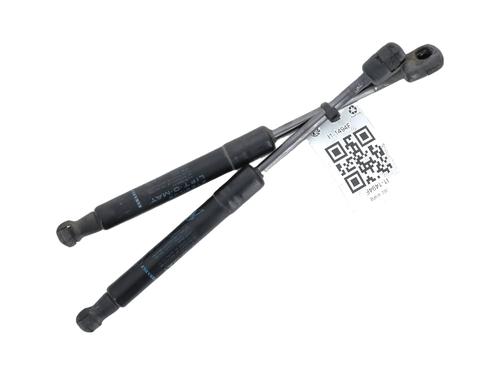Used Hood lift support RENAULT SCÉNIC III (JZ0/1_) 1.5 dCi (JZ02, JZ0R) (95 hp) 27912333