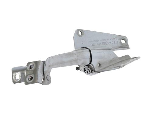 Hinge/Door check strap RENAULT KANGOO Express (FW0/1_) 1.5 dCi 90 (FW0G, FW05, FW08, FW11) | BP29198721C146 