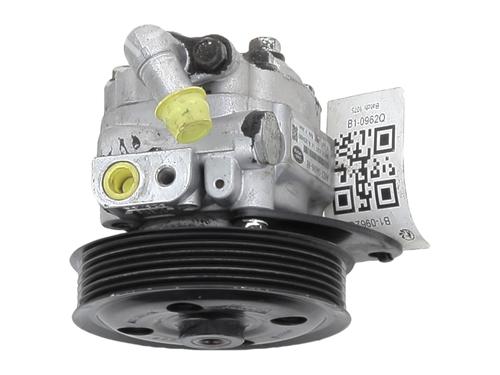 Steering pump LAND ROVER RANGE ROVER SPORT I (L320) 3.0 D 4x4 | BP29552707M99