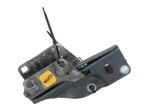 Used Hinge/Door check strap NISSAN PATHFINDER III (R51) 2.5 dCi 4WD (190 hp) 27902955