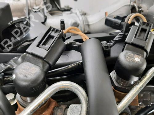 Engine RENAULT SCÉNIC III (JZ0/1_) 1.5 dCi | BP32378501M1 