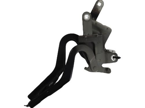 Used Hinge/Door check strap RENAULT CLIO IV (BH_) 0.9 TCe 90 (BHNF, BHMA, BHMH, BHJK, BHJR) (90 hp) 29055520