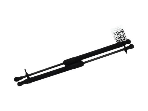 tailgate-lift-support-renault-twingo-ii-cn0_-2007-39547703 main image