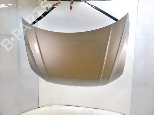 Used Hood VW TIGUAN (AD1, AX1) 2.0 TDI 4motion (190 hp) 30190694