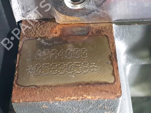 Engine FIAT PANDA (312_, 319_) 1.2 (312PXA1A) | BP32717244M1 - Image 7