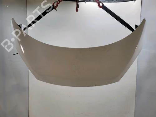 Used Hood RENAULT SCÉNIC III (JZ0/1_) 1.5 dCi (110 hp) 31876555
