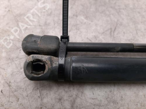 Tailgate lift support SKODA YETI (5L) 1.2 TSI | BP27916870C138 