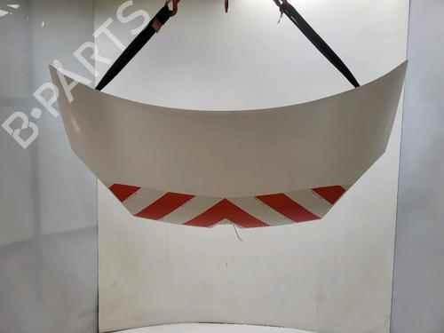 hood-renault-kangoo-express-fw01_-2008-39972132 main image