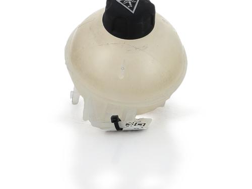 Used Expansion tank Expansion tank FIAT DOBLO Box Body/MPV (510_, 511_) BlueHDi 100 (102 hp) 36006860 36006860