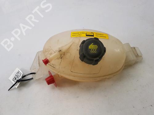 Used Expansion tank OPEL MOVANO B Van (X62) 2.3 CDTI FWD (FV) (131 hp) 13115705