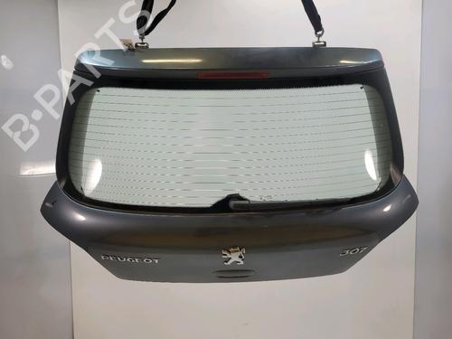 Bakluke CC/Kombi-Kupé PEUGEOT 307 (3A/C) [2000-2012]  28161111