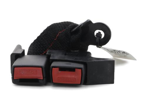 Used Seat buckle RENAULT CLIO III (BR0/1, CR0/1) 1.2 16V (BR02, BR0J, BR11, CR02, CR0J, CR11) (75 hp) 29347329