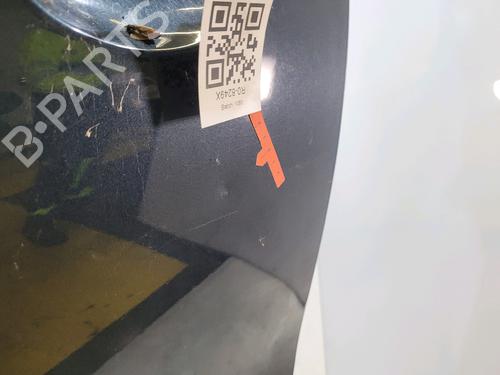 Left front door CITROËN C4 II (NC_) 1.6 HDi 110 | BP29346749C2 