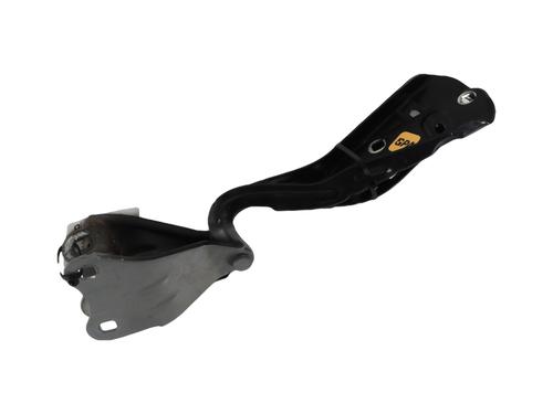 Used Hinge/Door check strap RENAULT TWINGO II (CN0_) 1.6 RS (CN0N, CN0R, CN0S) (133 hp) 30632841