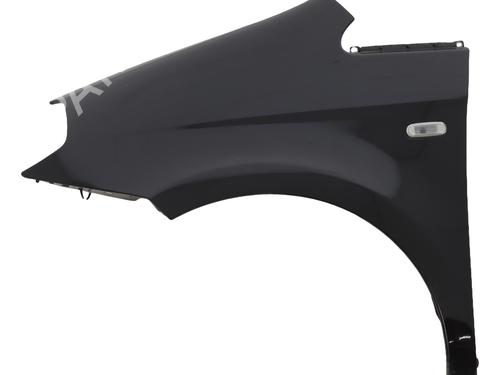 Used Left front fenders LANCIA MUSA (350_) 1.3 D Multijet (350.AXM11, 350.AXM1A, 350.AXI1A) (95 hp) 29110538