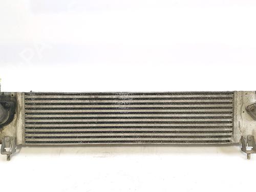 Intercooler NISSAN QASHQAI I (J10, NJ10) 2.0 dCi All-wheel Drive (150 hp) 29346759